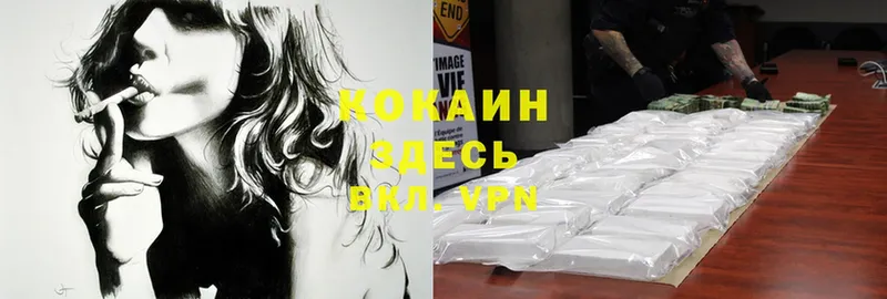 цена   Александров  Cocaine VHQ 